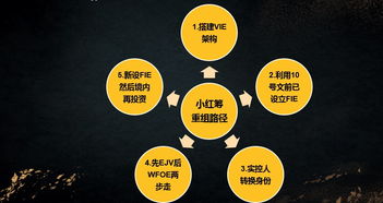 股權投資法律實務全解析 從入門到精通